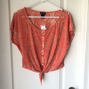 🚨2 for $20🚨 Sheer Rosebud Top (L)